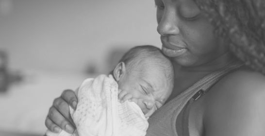 181214_harvard_flrf.jpg 181214_harvard_flrf.jpg