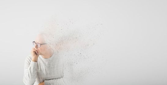 2021 Amnesia Flrs 2021 Amnesia Flrs