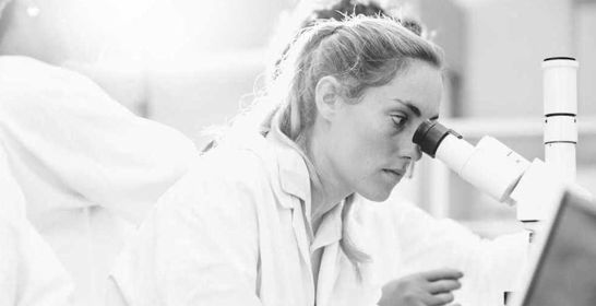 150707_lrf_chl_flrf.jpg 150707_lrf_chl_flrf.jpg