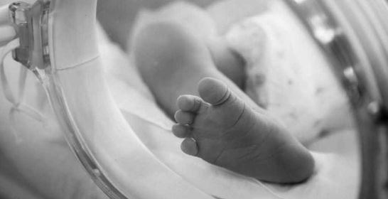 161123_intergrowth_flrf.jpg 161123_intergrowth_flrf.jpg