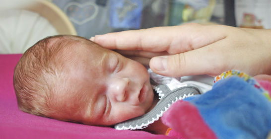 2022 22 Projects FLRF 2022 22 Projects FLRF