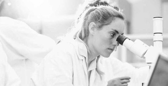 150707_lrf_chl_flrf.jpg 150707_lrf_chl_flrf.jpg