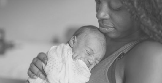 181214_harvard_flrf.jpg 181214_harvard_flrf.jpg