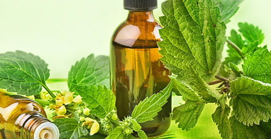 2022 09 Projects FLRF 2022 09 Projects FLRF