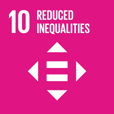 E SDG Icons 10