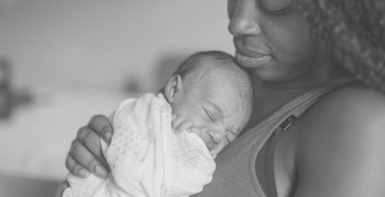 181214_harvard_flrf.jpg 181214_harvard_flrf.jpg