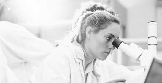 150707_lrf_chl_flrf.jpg 150707_lrf_chl_flrf.jpg