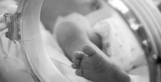 161123_intergrowth_flrf.jpg 161123_intergrowth_flrf.jpg