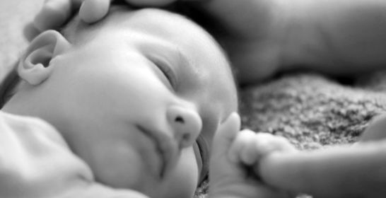 200505_lactahub_flrf.jpg 200505_lactahub_flrf.jpg