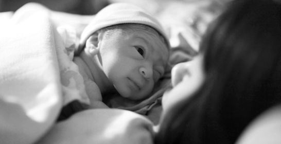 200304_colostrum_flrf.jpg 200304_colostrum_flrf.jpg