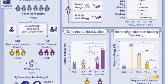 250918_Graphical Abstract_Allergy 250918_Graphical Abstract_Allergy